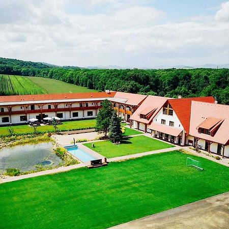 Dvur Perlova Voda Budyne nad Ohri Extérieur photo