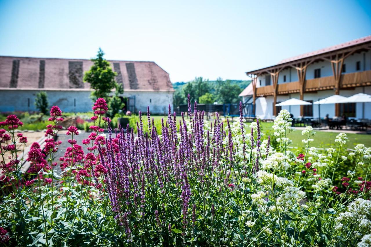 Dvur Perlova Voda Budyne nad Ohri Extérieur photo