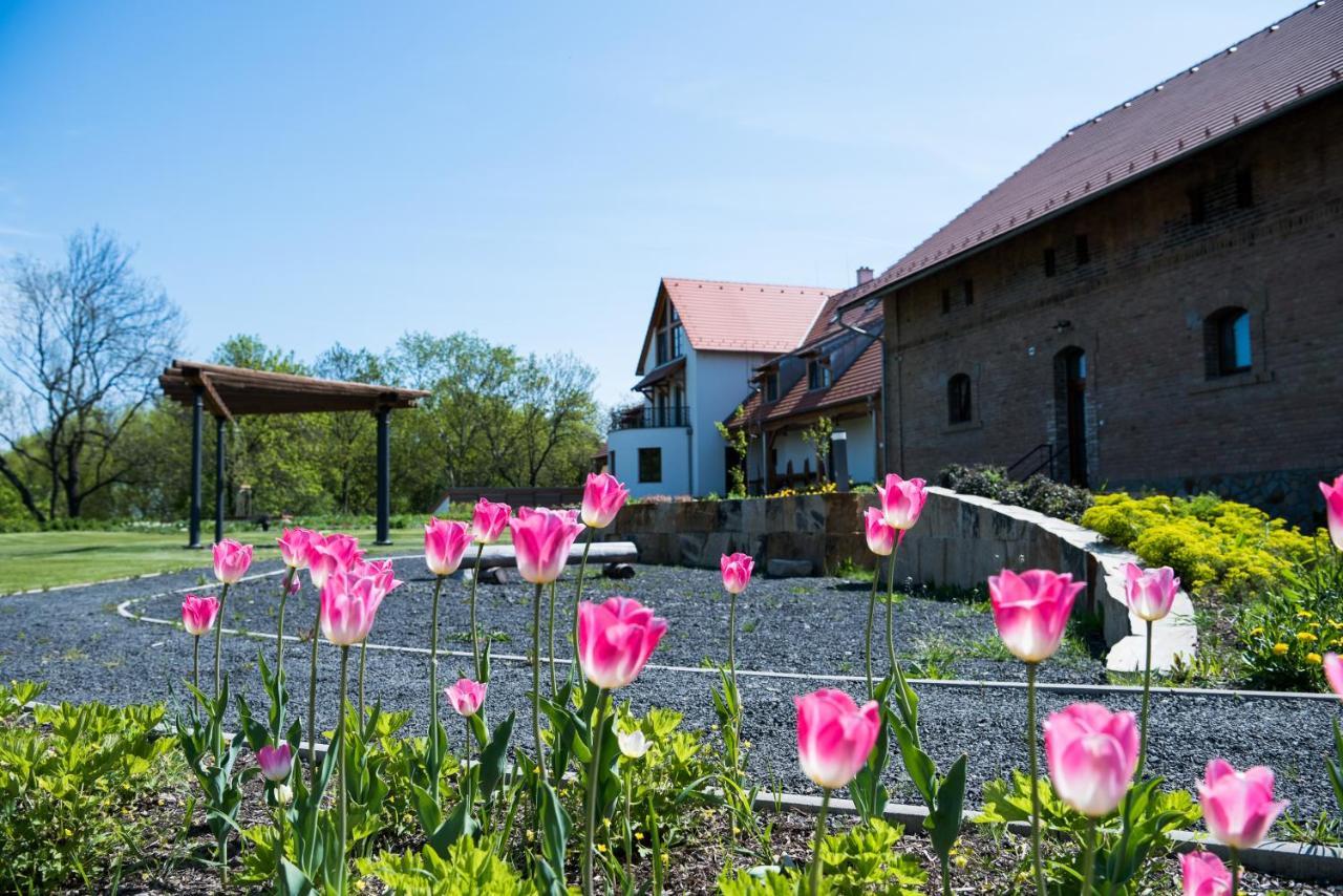 Dvur Perlova Voda Budyne nad Ohri Extérieur photo